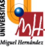 Universidad Miguel Hernández de Elche